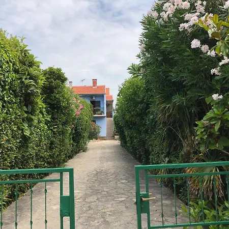 In Villa, Private Pool, Big Garden, Close To Sea And Old Town Lejlighed