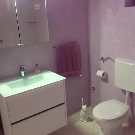 In Villa, Private Pool, Big Garden, Close To Sea And Old Town アパート ザダル